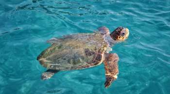 Tour Parco Marino da 3 ore